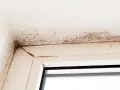 Mörk mögelväxt syns i hörnet av ett fönster, ett tydligt tecken på fuktskada i huset.