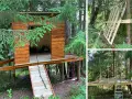 Bygga stege till ett trädkoja i skogen. En trästege och ett rep är fästa vid kojan.