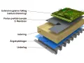 Explosion av en sedumtak konstruktion med lager av vegetation, dränering, membran, isolering, ångspärr och underlag.