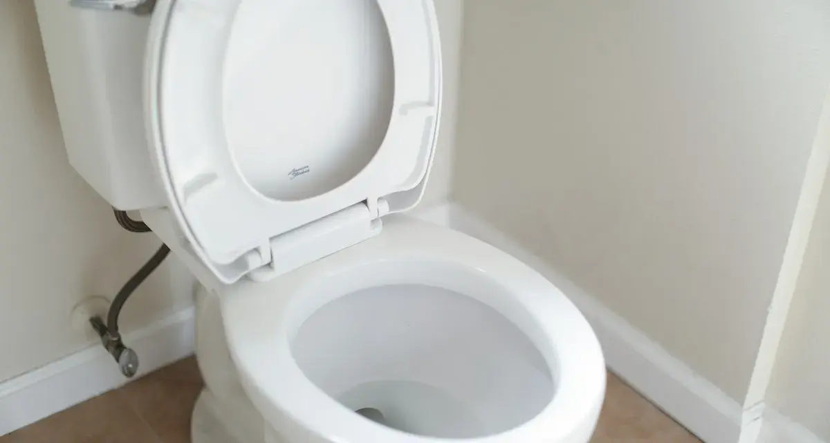 En vit toalett med öppet lock. Om du har stopp i toaletten kan husmorsknep vara lösningen.