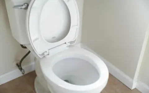 En vit toalett med öppet lock. Om du har stopp i toaletten kan husmorsknep vara lösningen.
