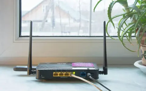 En gammal router med två antenner står på en fönsterbräda. En aloe vera-växt syns till höger.