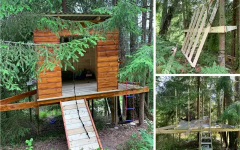 Bygga stege till ett trädkoja i skogen. En trästege och ett rep är fästa vid kojan.