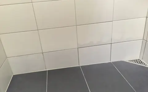 Fuktskada kakel i duschen. Mörka fläckar syns på de ljusa väggplattorna, ett tecken på fuktproblem.