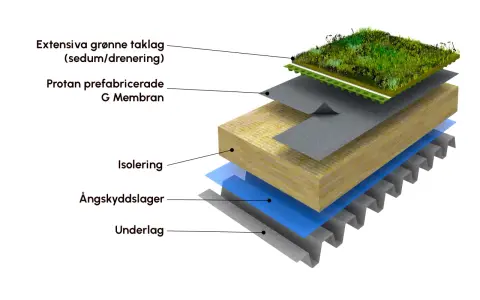 Explosion av en sedumtak konstruktion med lager av vegetation, dränering, membran, isolering, ångspärr och underlag.
