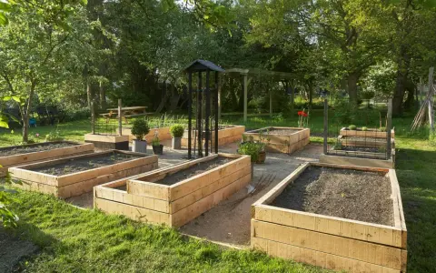 En vacker trädgård med flera nybyggda odlingslådor i trä, redo för plantering. Perfekt för att bygga odlingslåda och njuta av egenodlat.