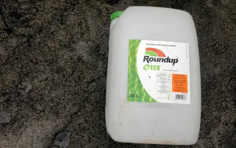 En stor vit dunk med etikett för Roundup ECO, ett glyfosatbaserat ogräsmedel.
