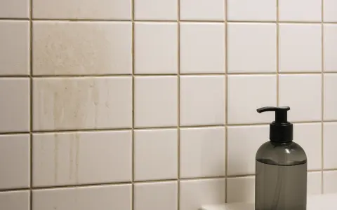 Smutsiga kakelplattor med rinnande vattenfläckar. En mörk tvålbehållare står till höger. Dags att ta bort kakel och rengöra.
