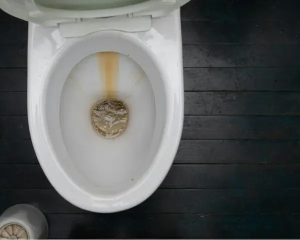 En smutsig toalett med kalkavlagringar. En pimpsten toalettborste står bredvid.