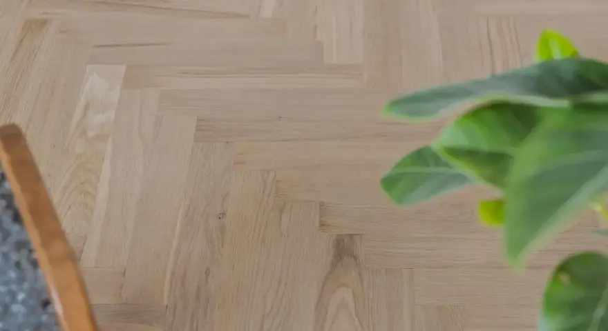 Ett nyslipat parkettgolv i fiskbensmönster, redo att skyddas. En grön växt och en del av en stol syns i bild.