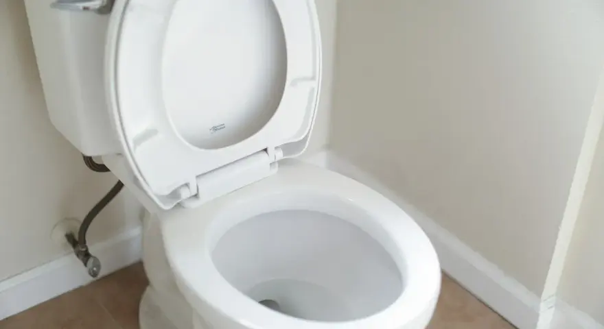 En vit toalett med öppet lock. Om du har stopp i toaletten kan husmorsknep vara lösningen.