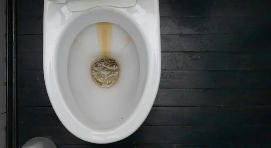 En smutsig toalett med kalkavlagringar. En pimpsten toalettborste står bredvid.