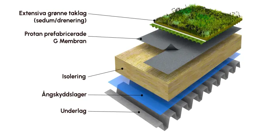 Explosion av en sedumtak konstruktion med lager av vegetation, dränering, membran, isolering, ångspärr och underlag.
