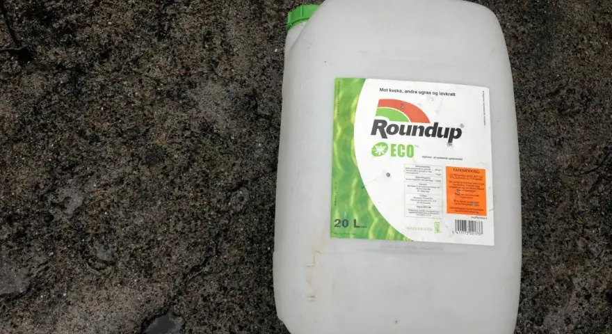 En stor vit dunk med etikett för Roundup ECO, ett glyfosatbaserat ogräsmedel.