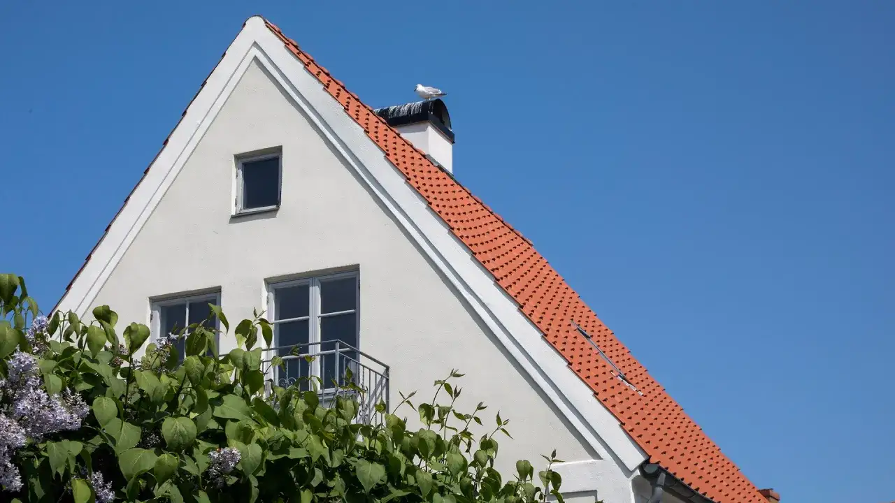 Vacker vit putsad fasad på ett hus med tegeltak. En fiskmås sitter på skorstenen.
